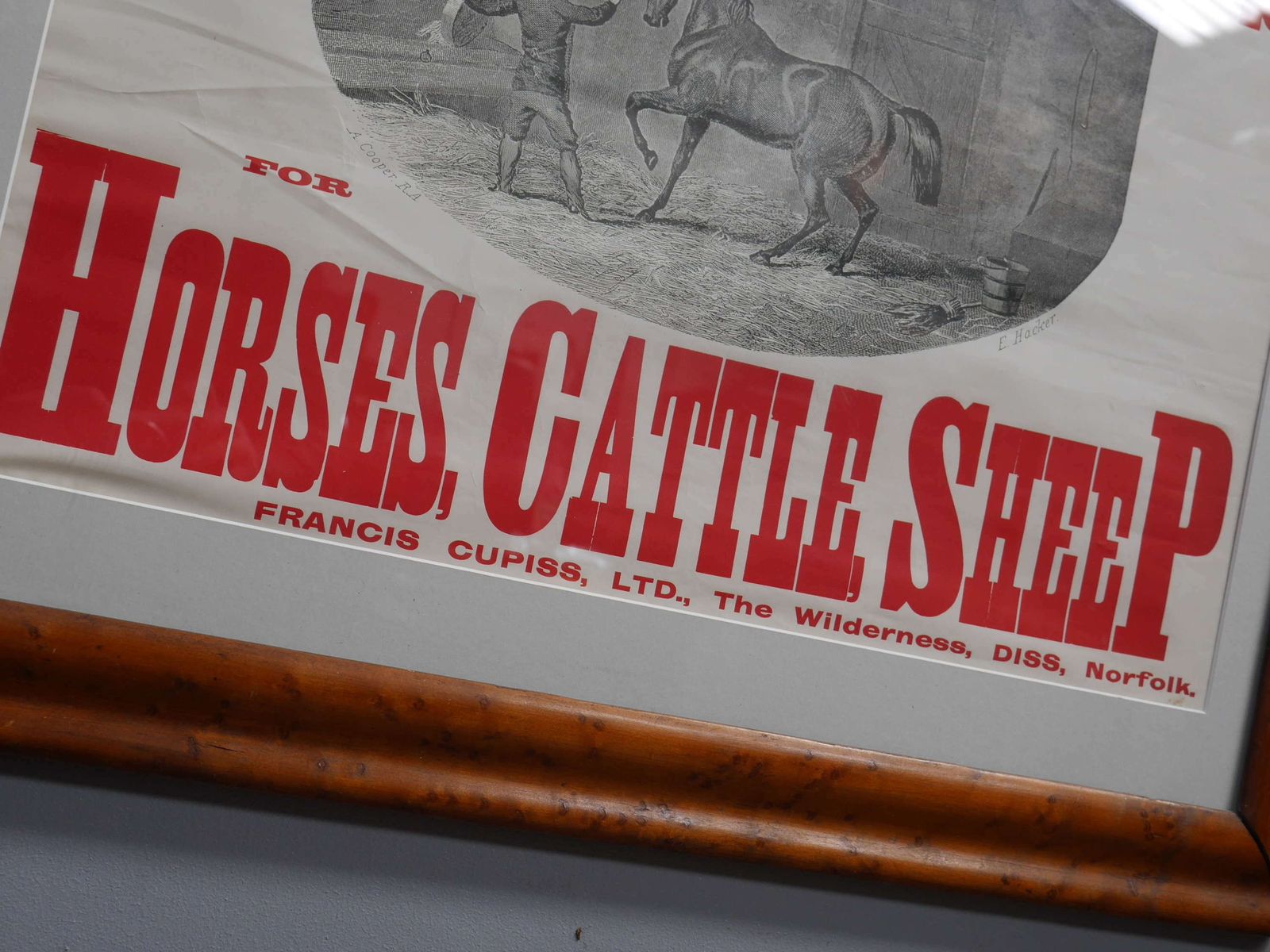 Large Cupis Advertising Poster In Birds Eye Maple Frame photo 495.0