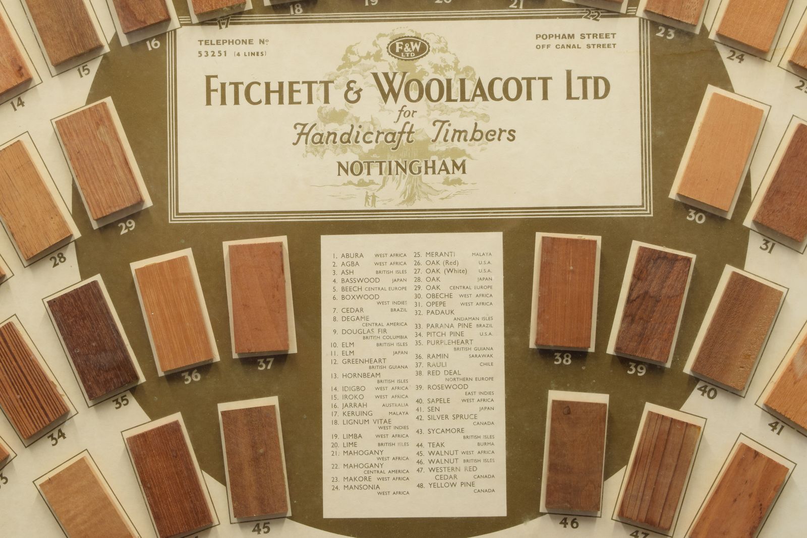 Fitchett & Wooltacott Ltd   A Specimen Wood Timber Shop Display, Framed photo vinterior