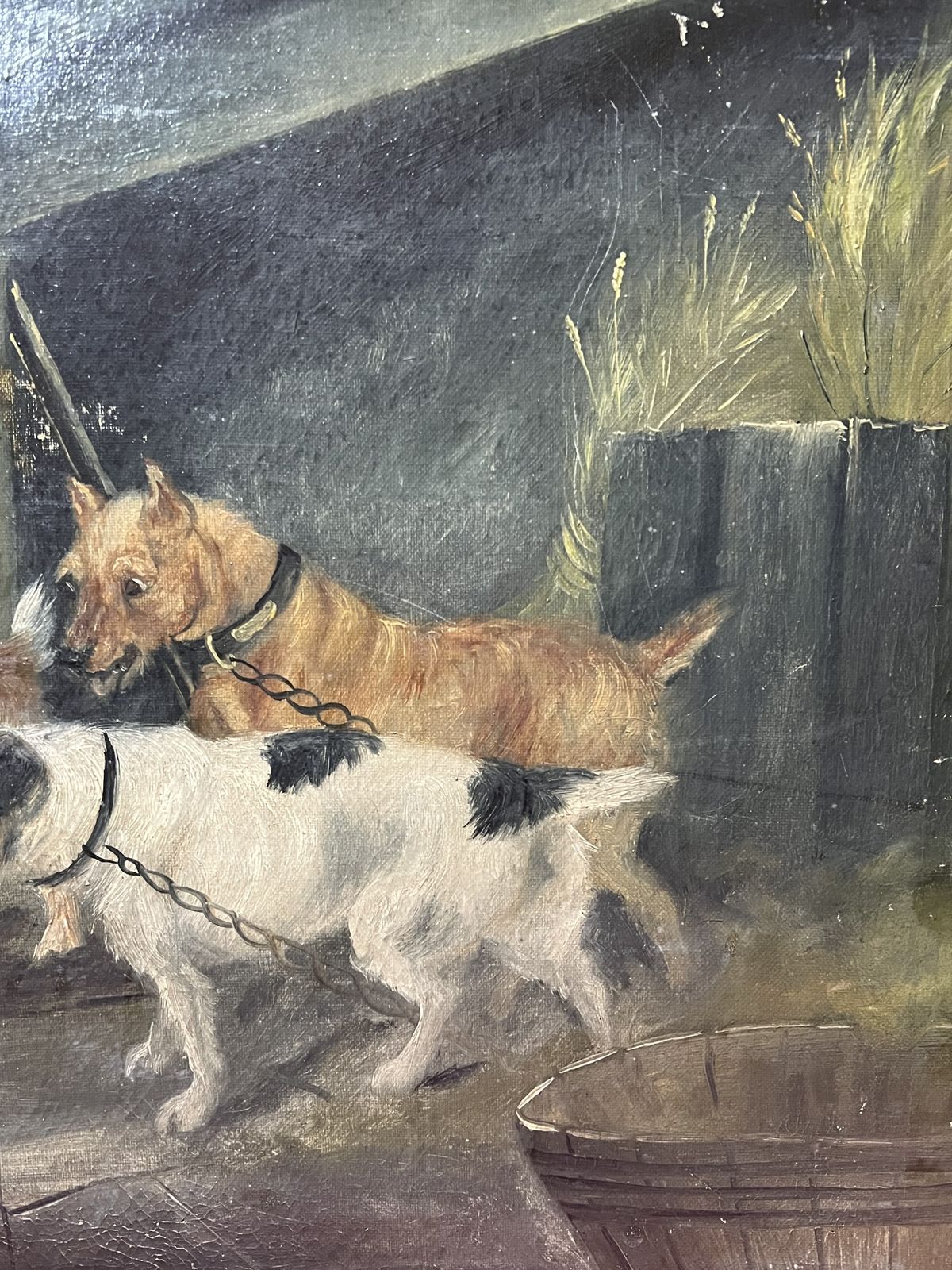 photo furniture British 19th Century Oil Painting 'Terriers In Baited Breath' In The Manner Of British Artist Robert Cleminson
