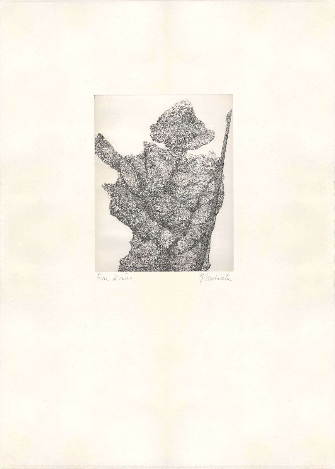 Unknown Artist, “Untitled”, Late 20th Century, Intense Signed Etching Artist Proof
