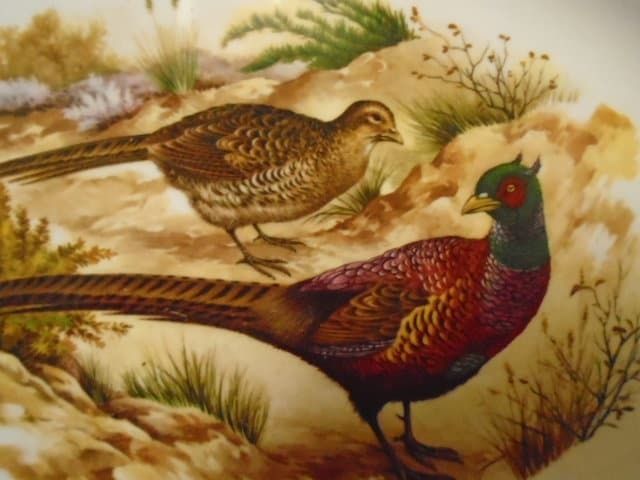Large Vintage Oval White China Serving Plate With Pheasants / Thanksgiving Server / Turkey Or Game Serving Dish, Made In England photo 159.0