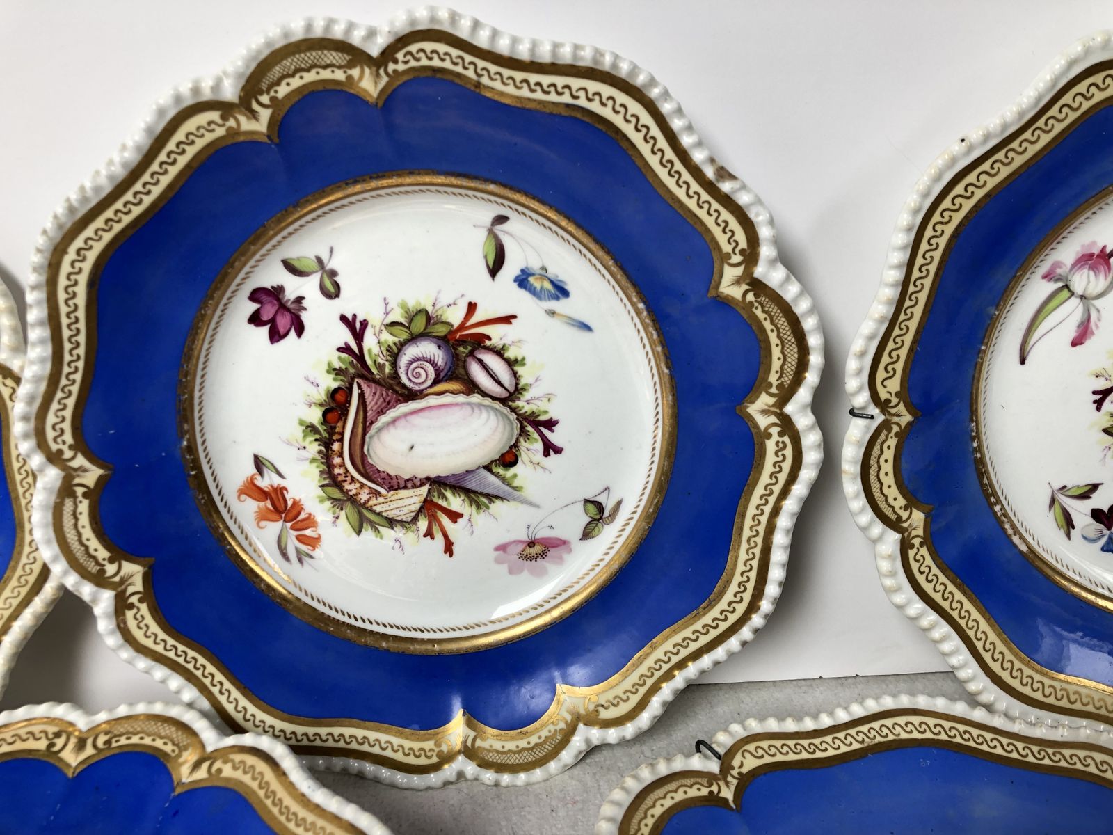 A Beautiful Set Of Five Cabinet Plates Hand Painted With Shells. Extremely Rare photo furniture