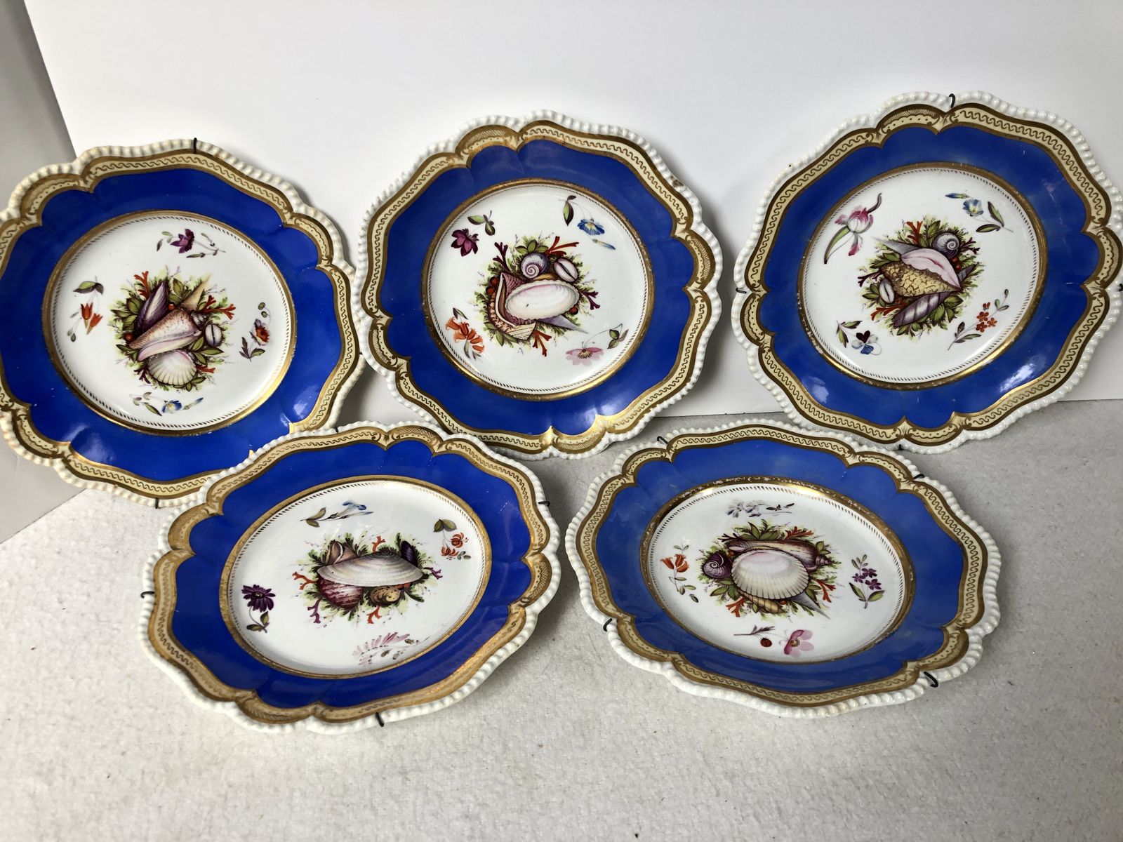 A Beautiful Set Of Five Cabinet Plates Hand Painted With Shells. Extremely Rare photo for sale