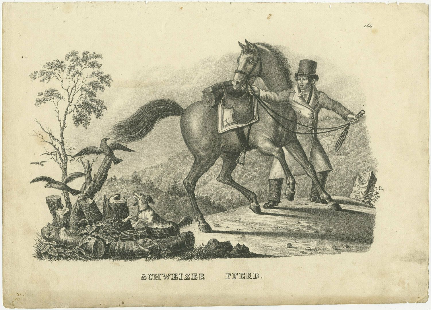 Antique Print Of A Swiss Horse In The Mountains