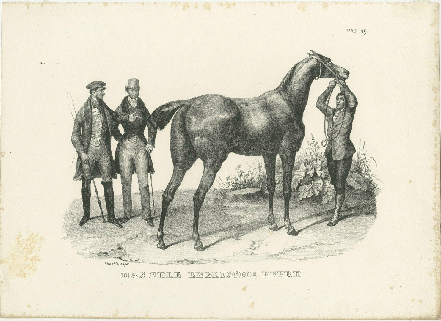 Set Of 2 Original Antique Prints Of English Horses photo for sale