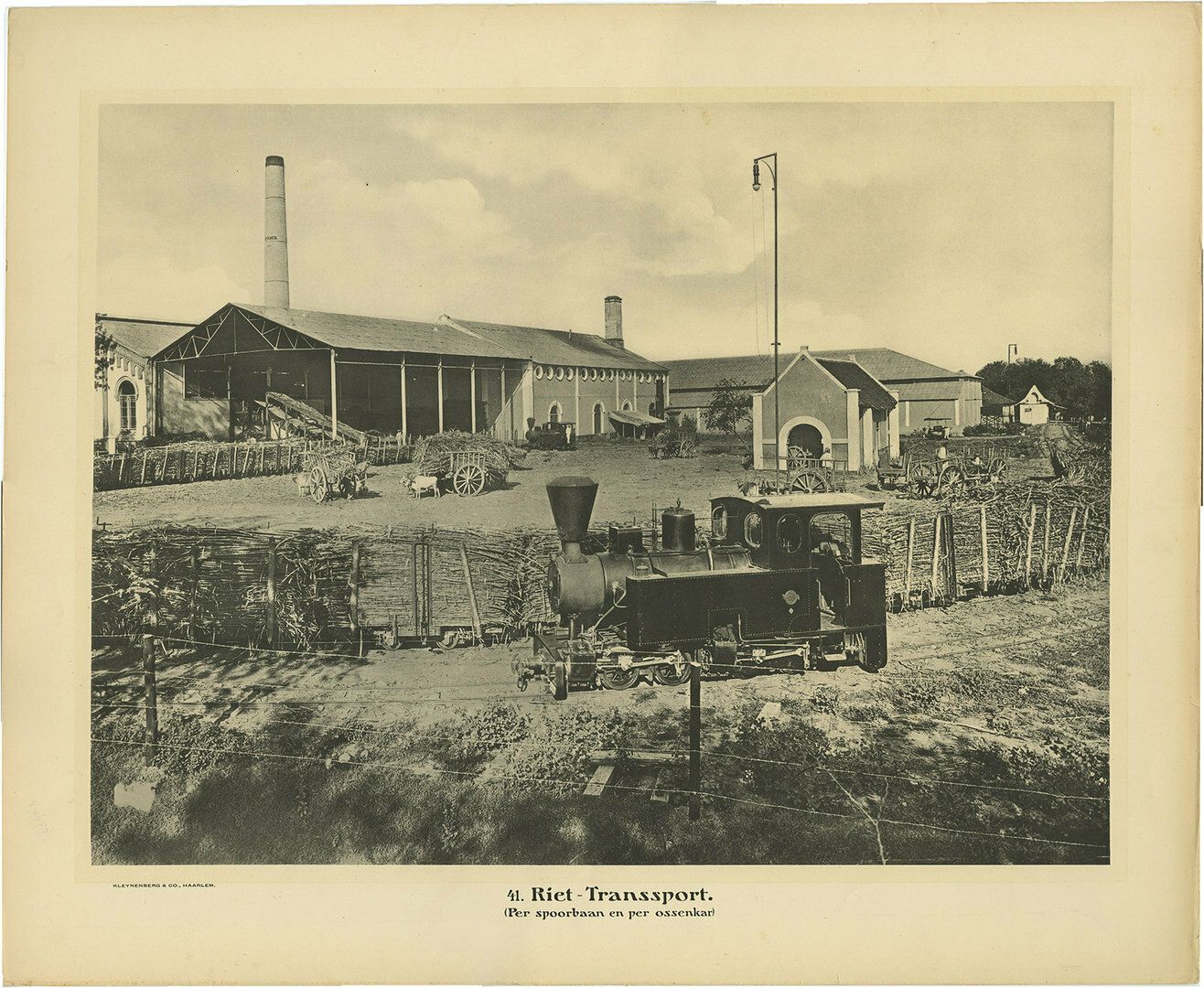 Photographic Plate Illustrating The Transportation Of Cane In The East Indies