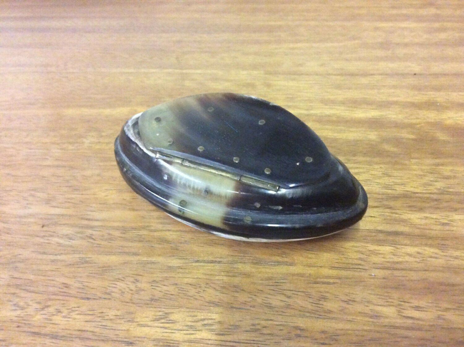 Victorian C1880 Horn Snuff Box With Brass Rivets photo for sale