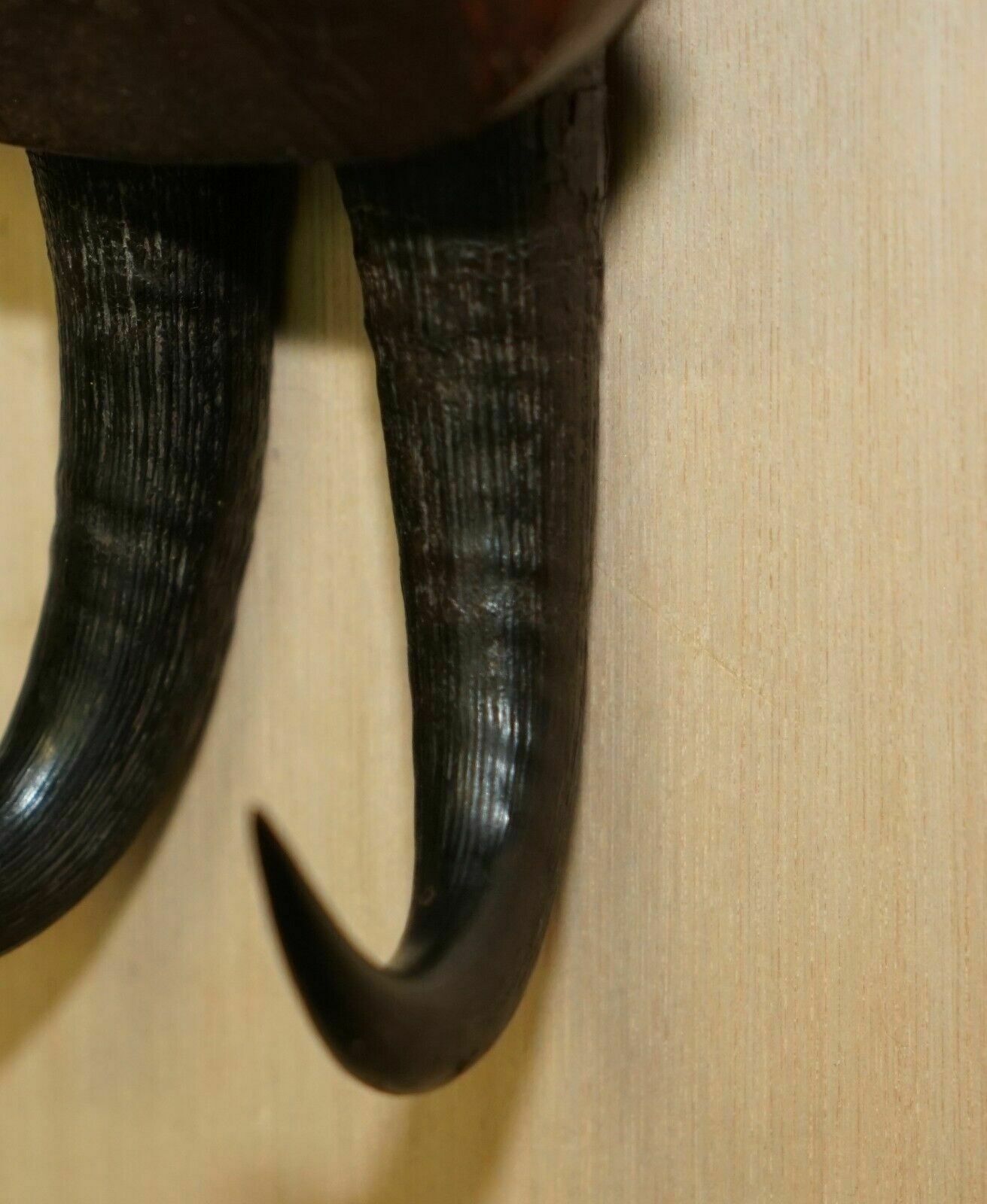 2350.0 Antique Circa 1880 Super Rare Black Forest Hand Carved And Painted Whip Hook photo