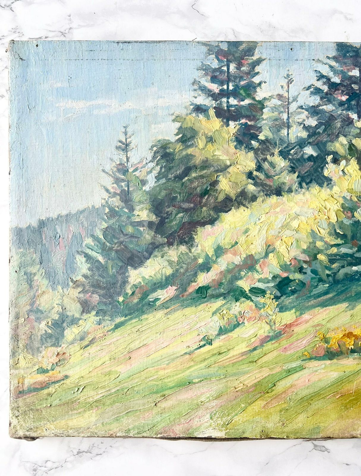 Antique Original French Impressionist Oil On Canvas Showing A Landscape Of Forests And Clearings   Signed C. Himmel And Dated 21 Lower Right photo Art