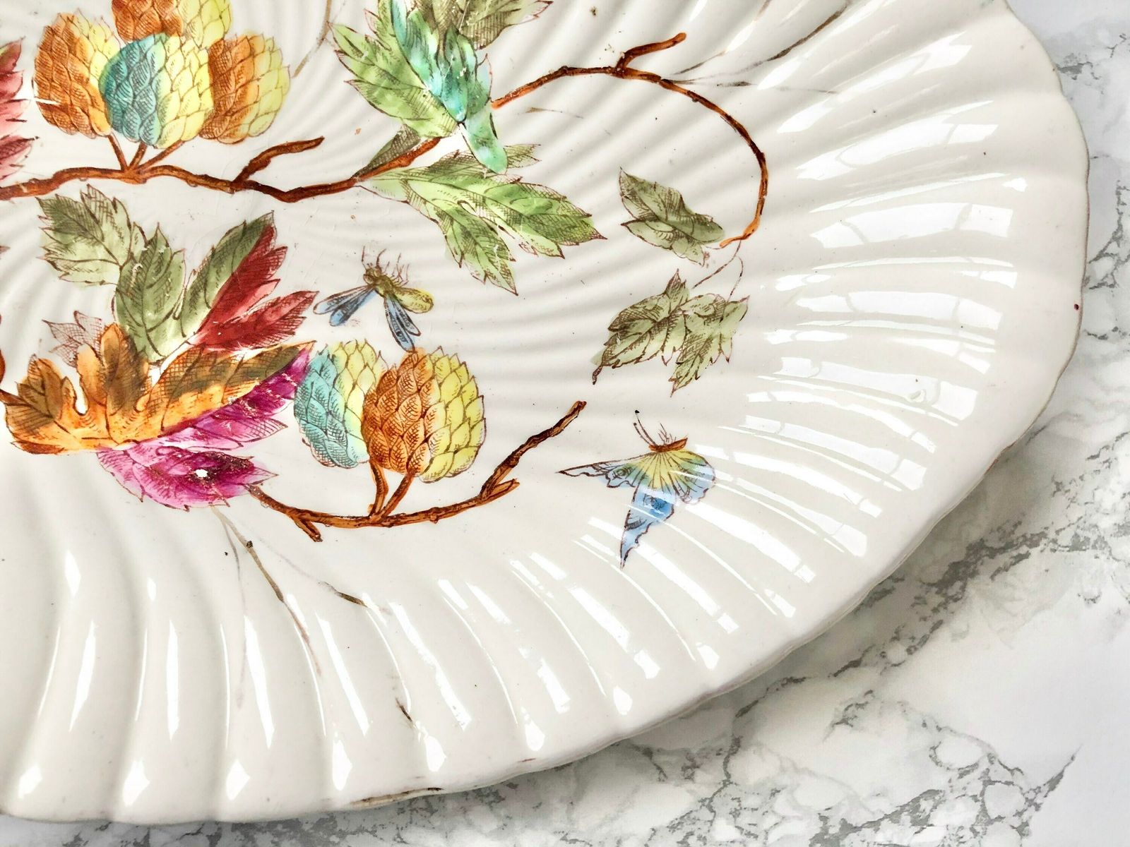 German Manufacture Royal Bonn   Franz Anton Mehlem   Antique China Serving Dish Decorated With Plants And Insects photo Home Decor
