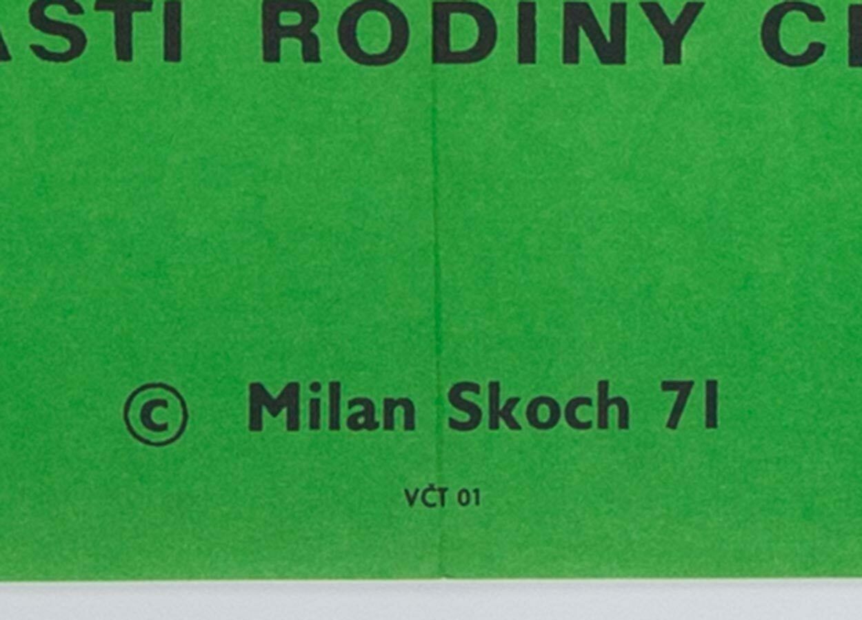 Art Movie Poster, Spring And Port Wine, Milan Skoch, 1971 photo