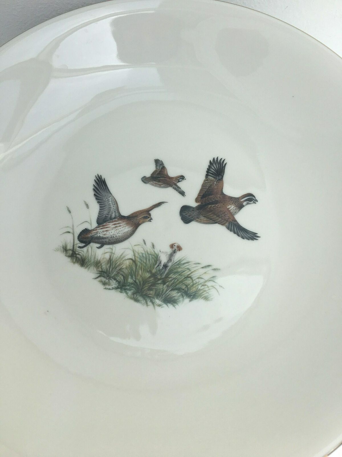 6 Fazant Soep  Of Pastaborden – Bareuther Waldsassen, Game Bird Wildlife, Cabin Decor, Natuur  En Bosdecorcollectie photo 148.0