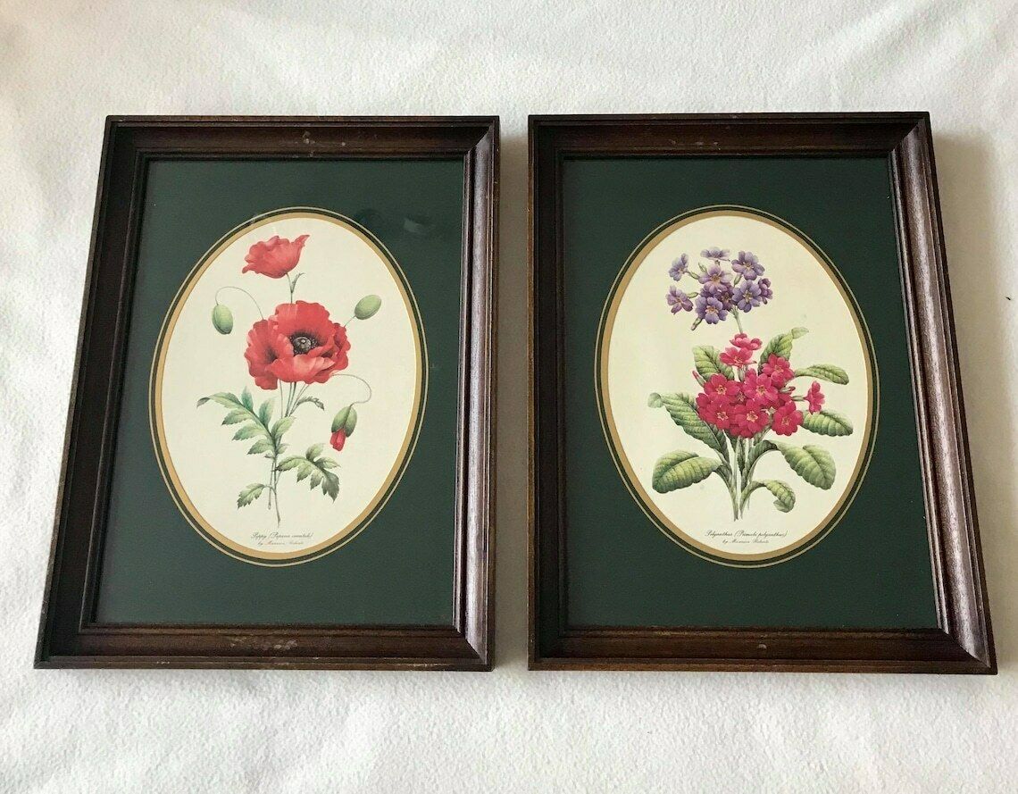 Botanical Art Wall Framed Print Vintage Set Of 2 Wall Hanging  Vintage Flower Print Botanica Print Wall Art Ready To Hang Framed Prints photo buy