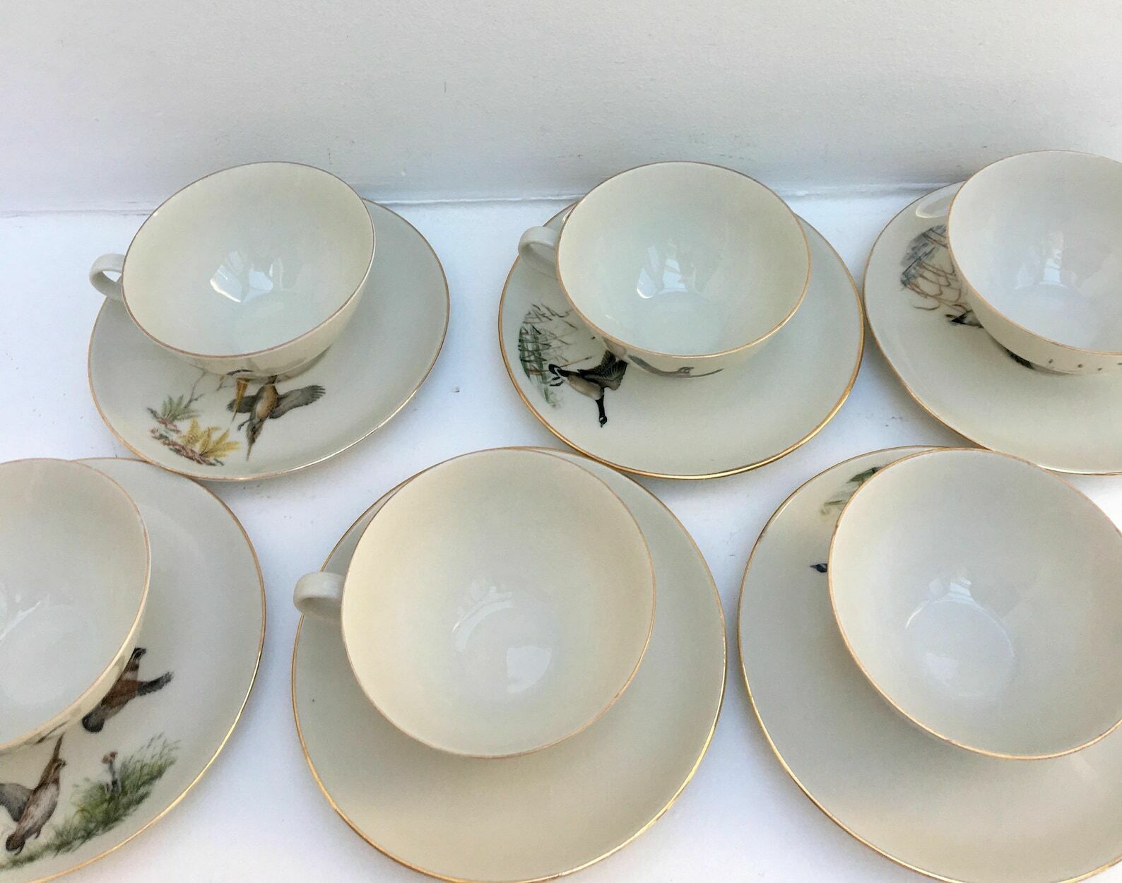 Service de 6 tasses Bareuther Waldsassen, décor faisan, oiseaux de chasse, nature et forêt photo vintage