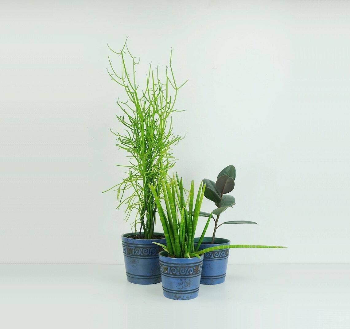 Beautiful Set Of 3 Planters Plant Pots Ceramano Pergamon Hanns Welling Mid Century Wgp 1950s 1960s Pottery