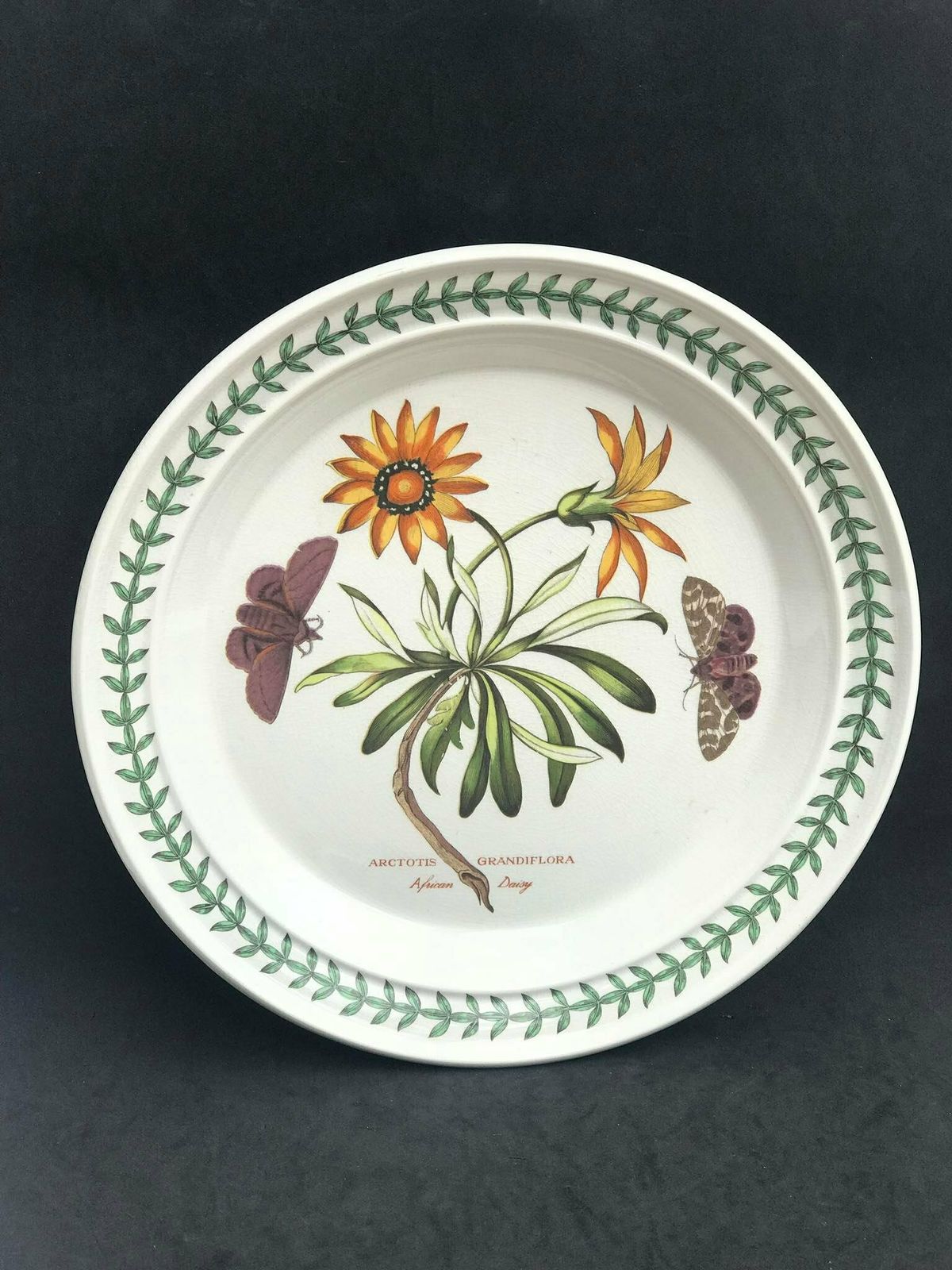 Portmeirion Botanica Dinner Plate 70s Botanic Garden Dinner Plate Cistus Purpureus" Woody Nightshade Made In England China Replacement photo for sale