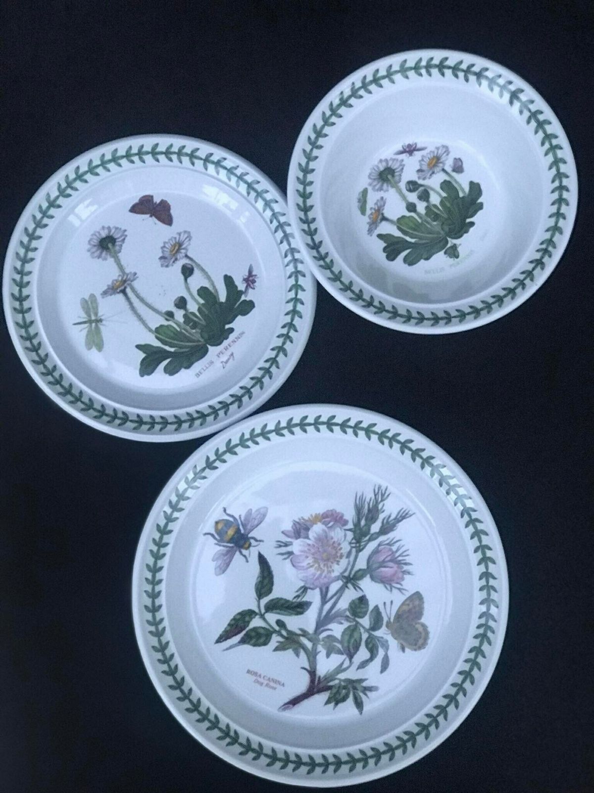 Portmeirion Botanica Salad Plate 21,7 Cm Diameter 8.5" Bread Butter Plate 7.2" Rim Cereal/Oatmeal Bowl Botanic Garden Rosa Replacement photo buy