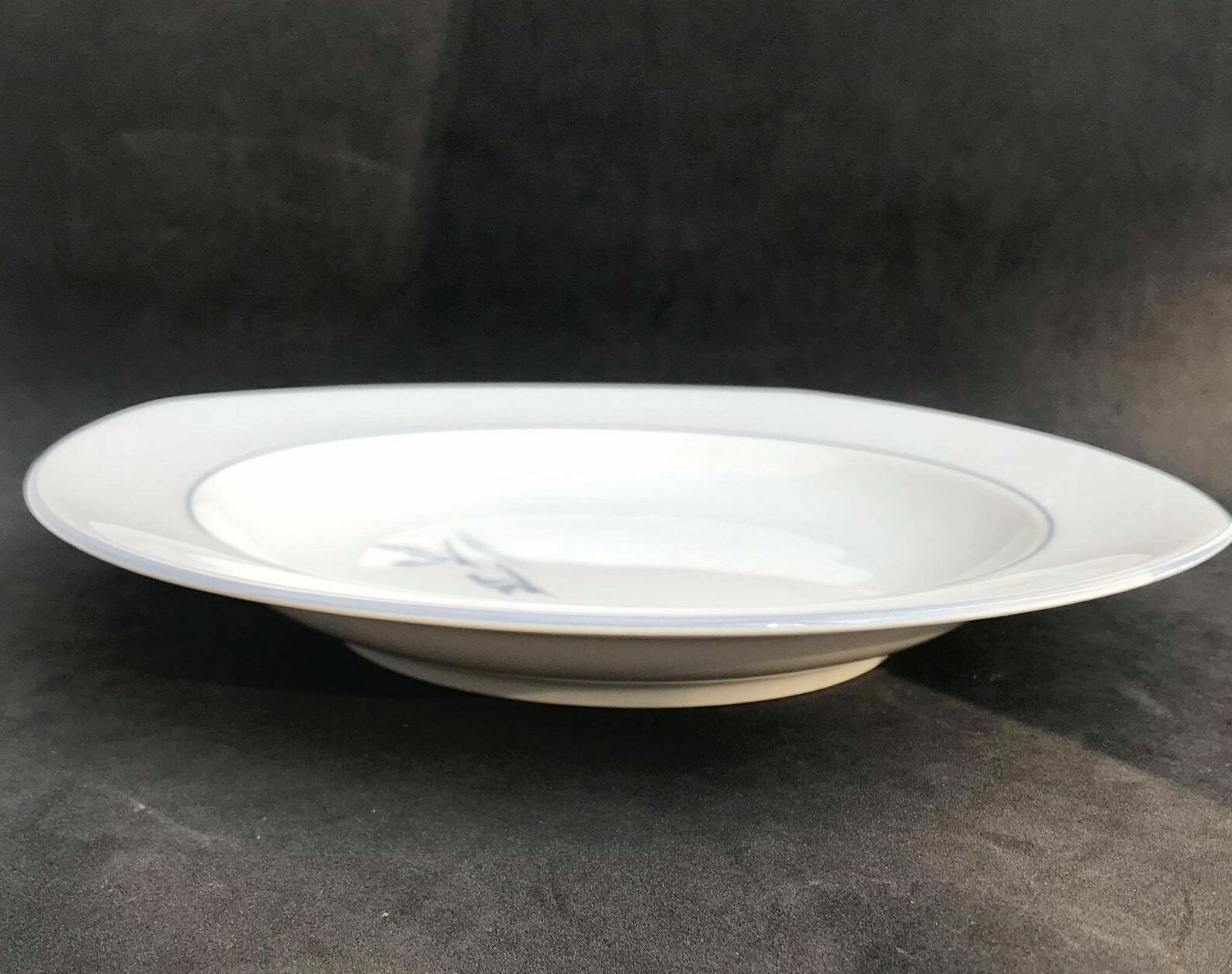 6 Soup Pasta Plates Porcelain Winterling Marktleuthen Spülmaschinenfest Bavaria Vintage Rare Replacemnt Birds Beachside Coast Kitchen photo Home Decor