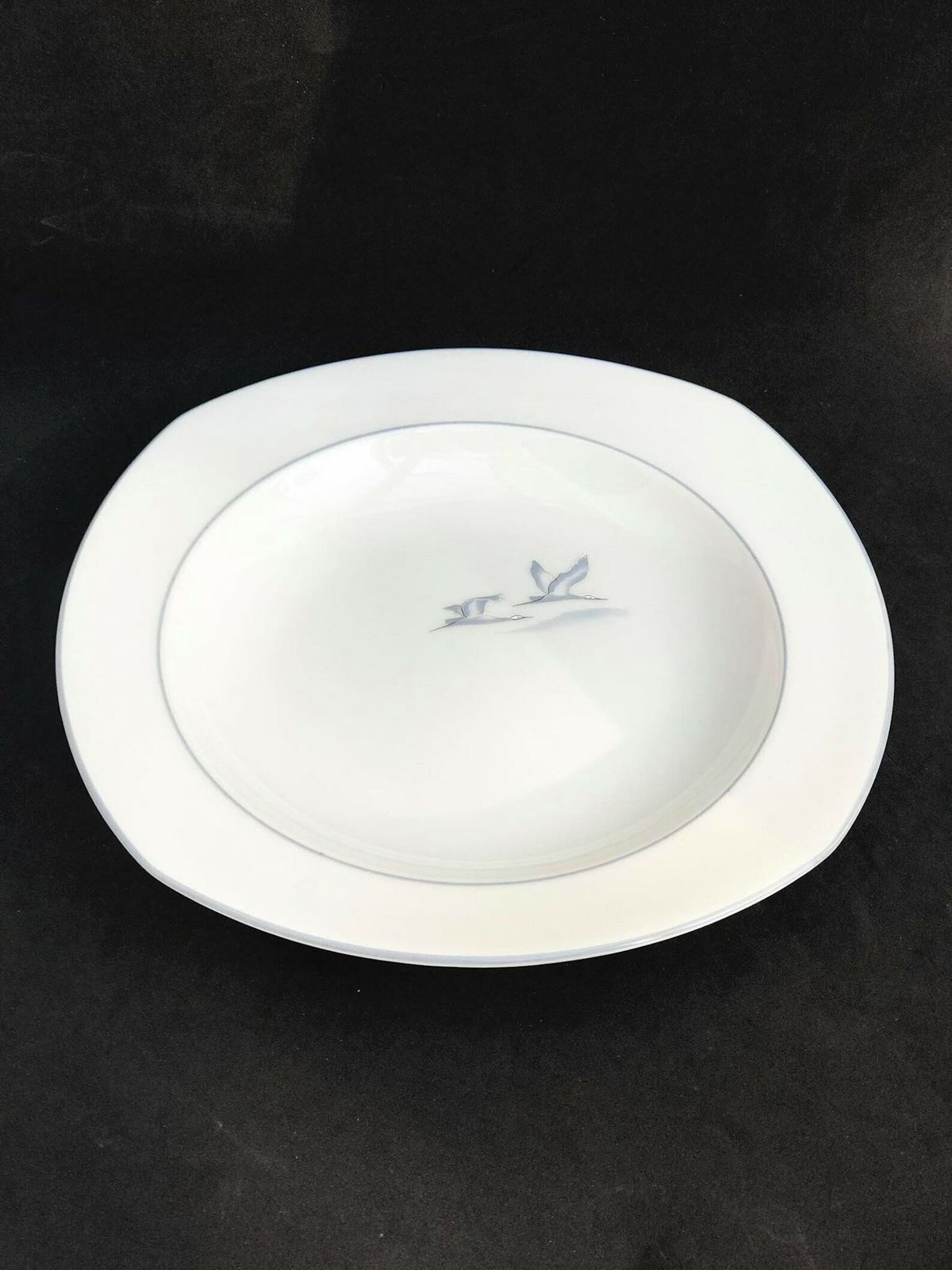 6 Soup Pasta Plates Porcelain Winterling Marktleuthen Spülmaschinenfest Bavaria Vintage Rare Replacemnt Birds Beachside Coast Kitchen photo 189.0