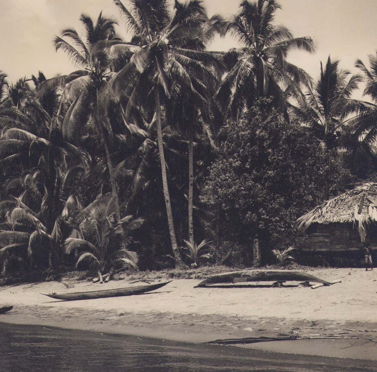 Hanna Seidel Colombia, Palm Trees, Beach, Black And White Photograph, 1960s, In Circa 1960s photo furniture