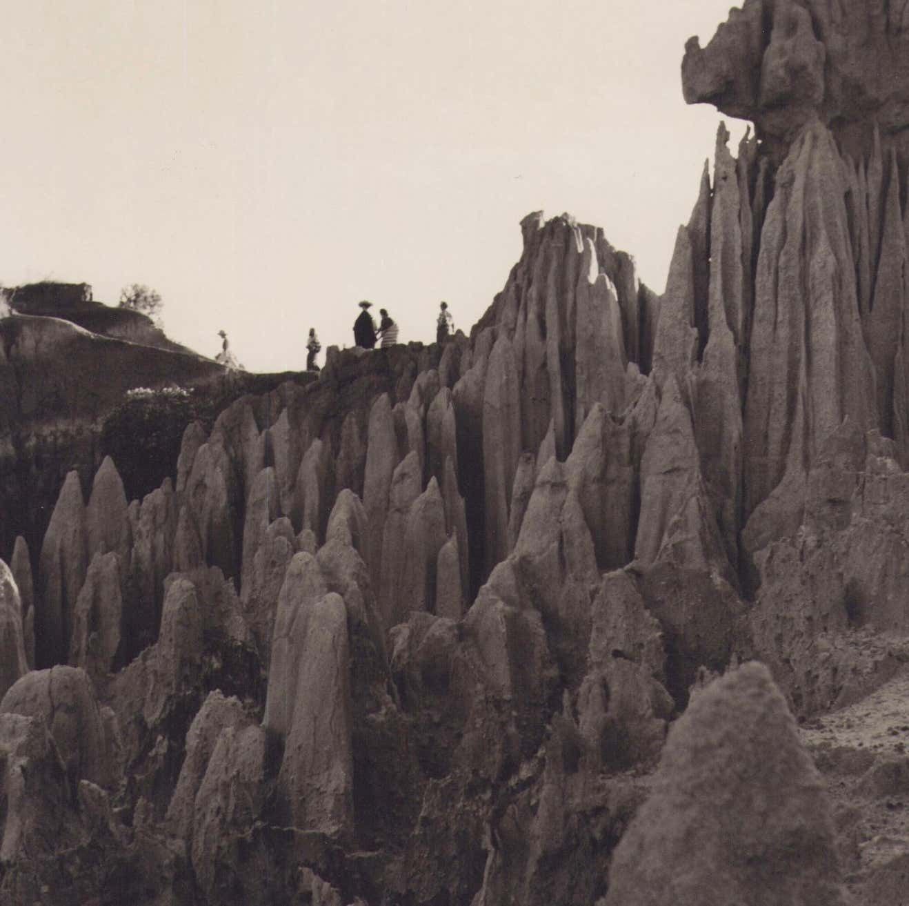 Guatemala, Nature, Black And Whit Photograph, Circa 1960s photo furniture