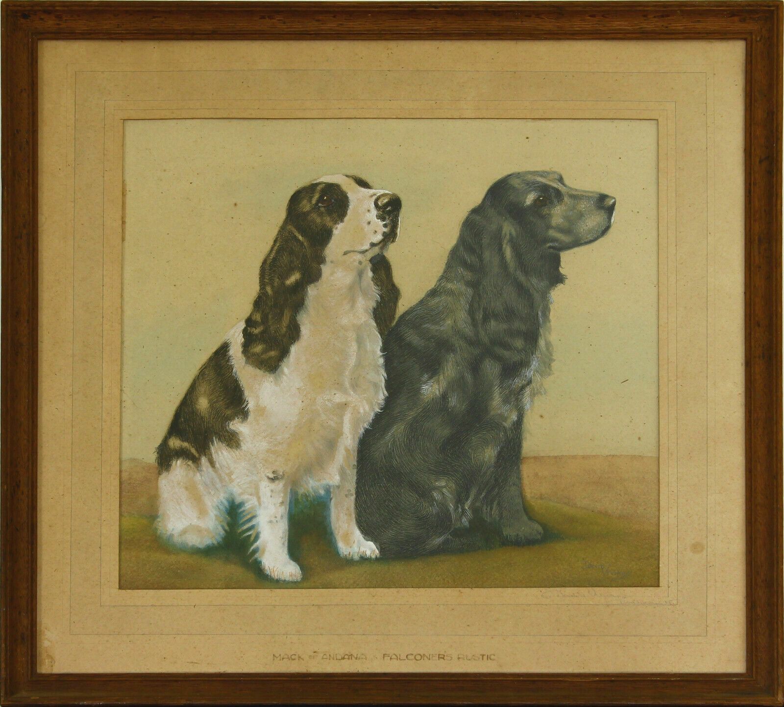 Watercolour Of Two Spaniels With White Gouache Highlights By David Vivians.