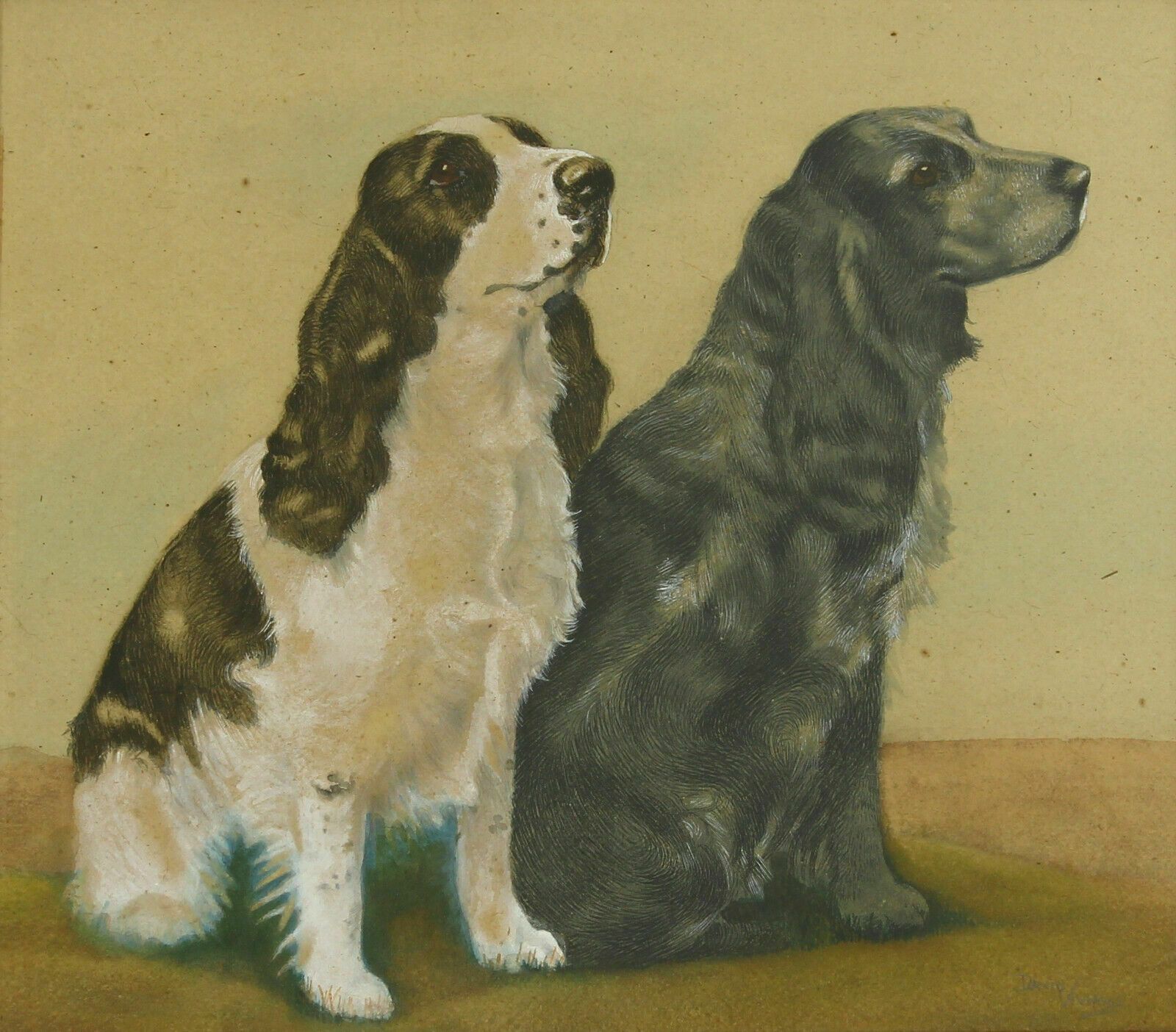 Watercolour Of Two Spaniels With White Gouache Highlights By David Vivians. photo furniture
