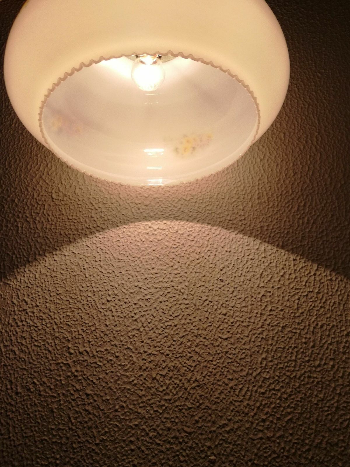 Vintage Farmhouse Style Pendant Light / Opaline Glass With Flower Motif / Mid Century Yugoslavia / Rustic Decor photo vinterior