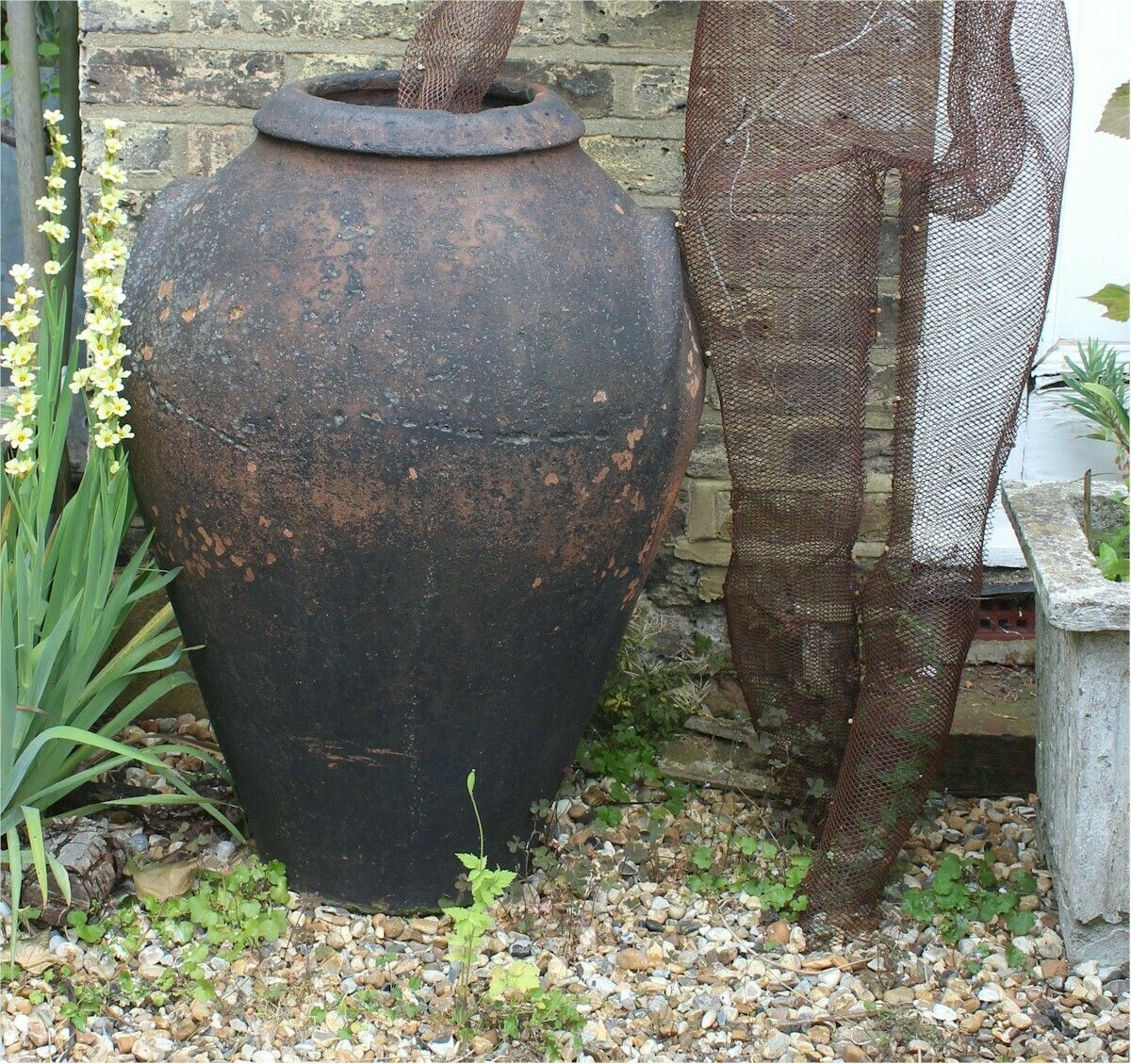 Large Antique European Olive Terracotta Garden Urn photo for sale