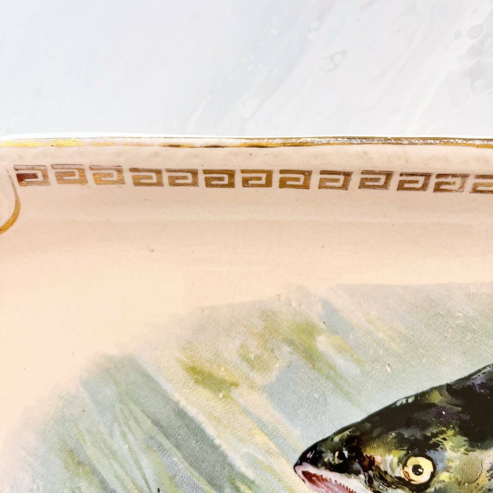 Antique Fish Platter, Antique Serving Dish, French Ceramic Platter, German Ceramic Serving Dish By Franz Antone Mehlem, Bonn Pottery Germany photo 60.0