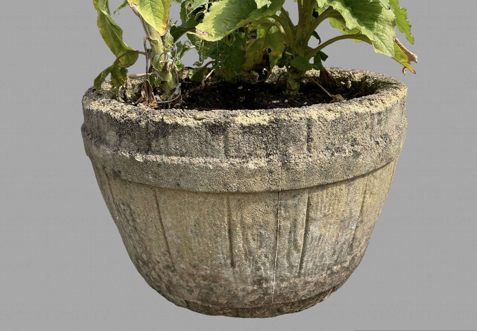 A Pair Of C1950 Garden Barrel Planters photo Home Decor