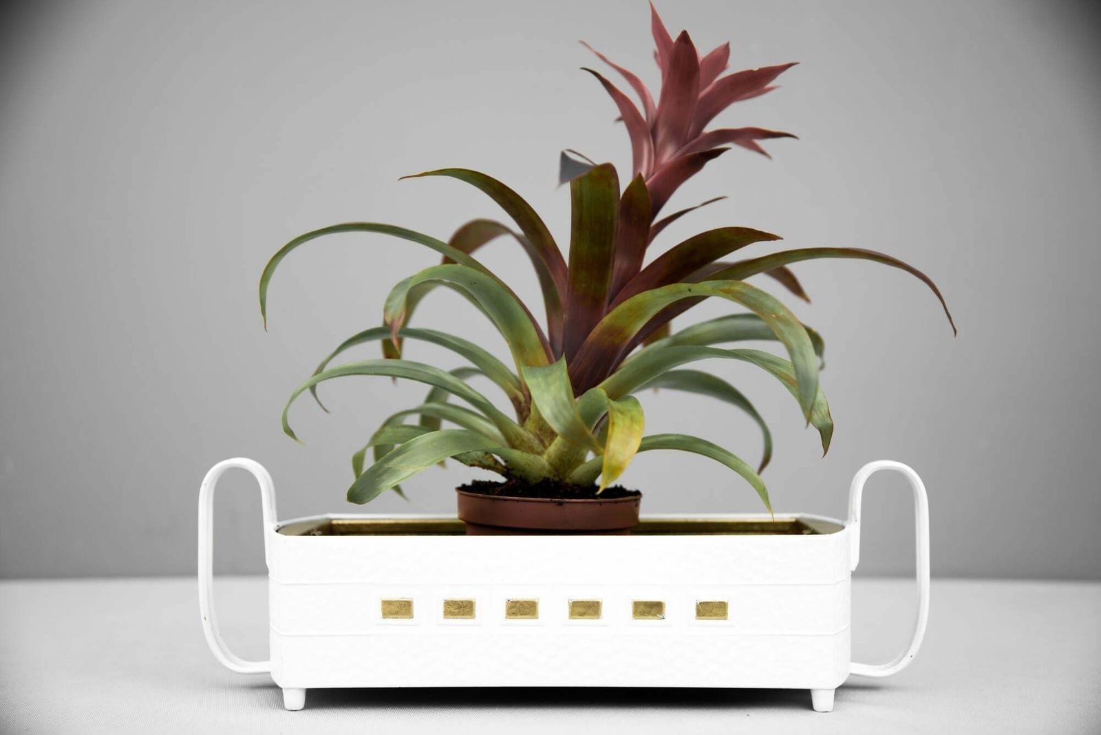 Art Deco Flower Pot With Original Insert, Circa 1920s photo buy