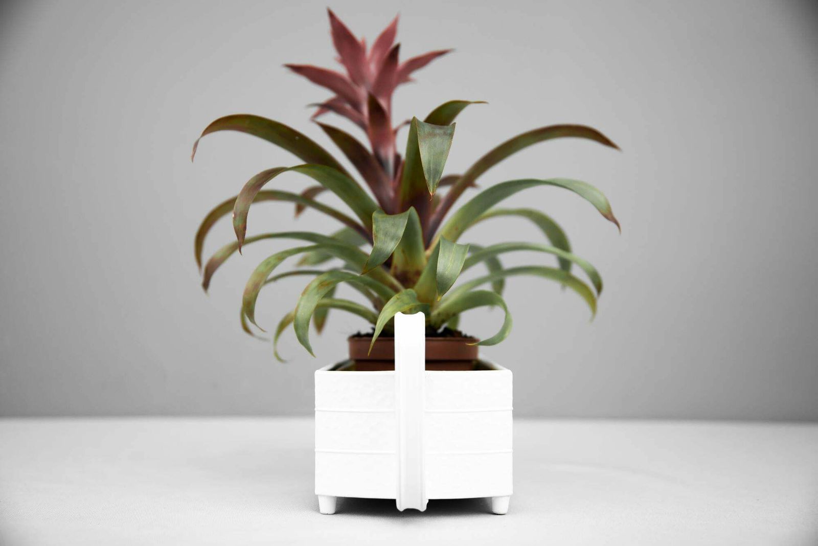 photo furniture Art Deco Flower Pot With Original Insert, Circa 1920s