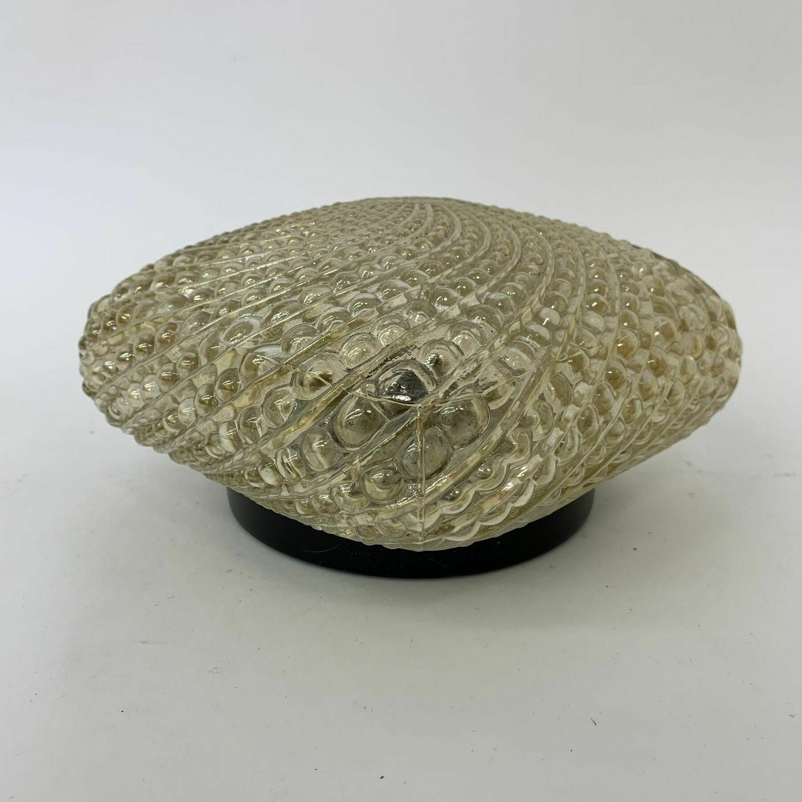 Mid Century Design Glazen Plafond  / Wandlamp, Jaren 1970 photo 133.0