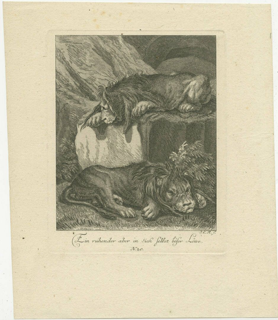 Original Antique Print Of Two Lions Resting
