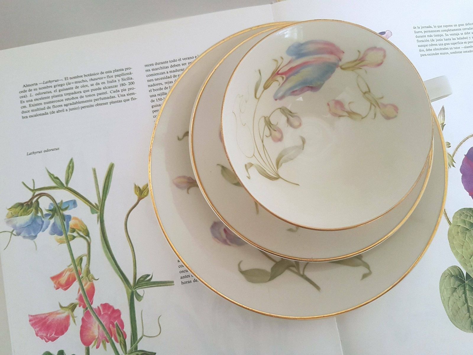 Vintage Set 3pieces Botanical Art Sweet Peas Vintage Vintage Bavarian Set Three Piece Dessert Set Vintage Bavarian China Vintage Coffee Set