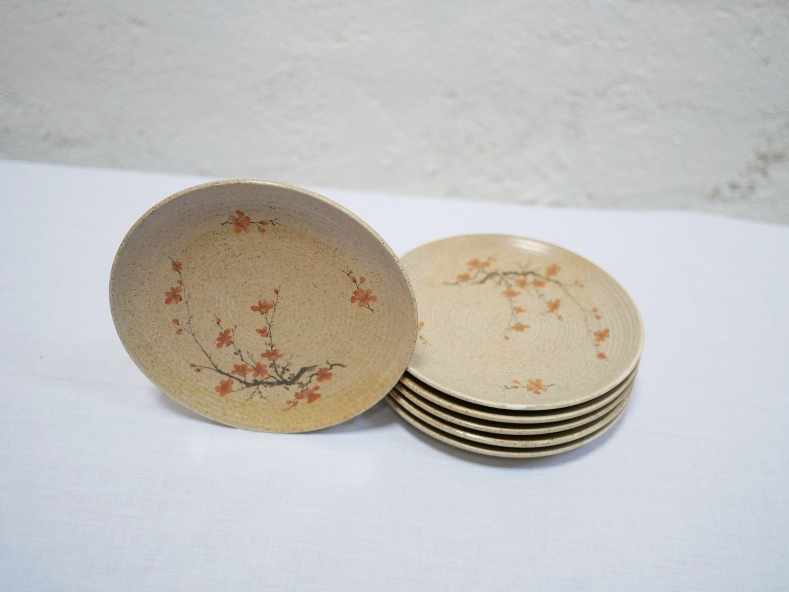 Series Of 6 Vintage Porcelain Dessert Plates By Maison Revol, France photo for sale