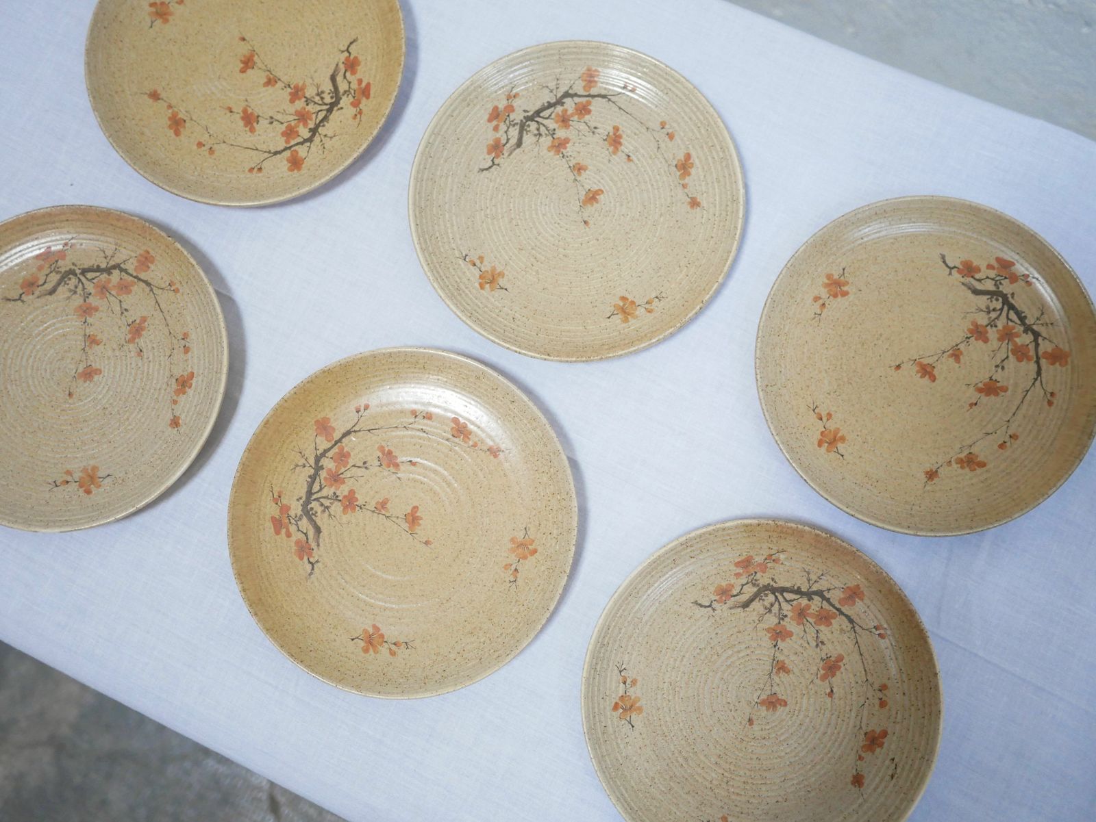 Series Of 6 Vintage Porcelain Dessert Plates By Maison Revol, France photo 111.6