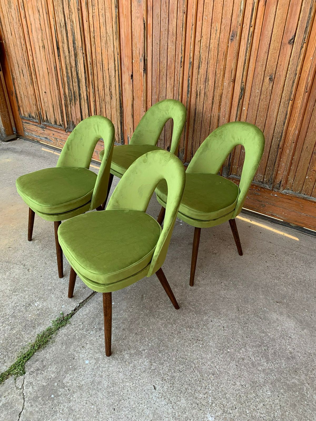 Mid Century Dining Chairs By Antonín šuman For Tatra Nábytok, 1960s, Set Of 4 photo 3149.0
