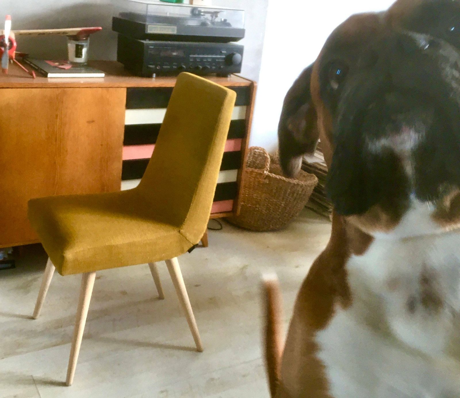 Original Polish Mid Century Chair 200 113 Designed In 1960s By R.T. Hałas. Personalization! photo 148.0