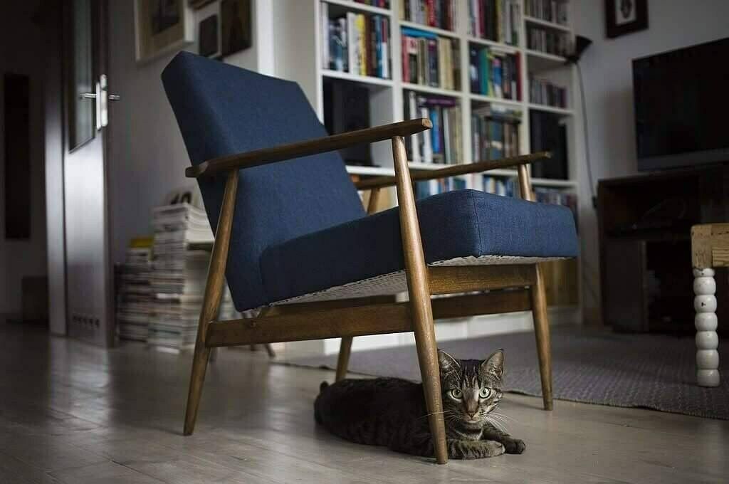 Vintage Polish Armchair 300 190 From Mid Century Designed By H. Lis photo for sale