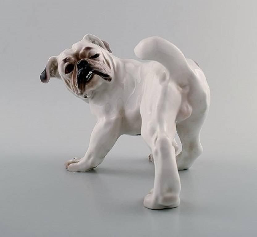 Bing & Grondahl Dog B&G, Number 1992, English Bulldog photo furniture