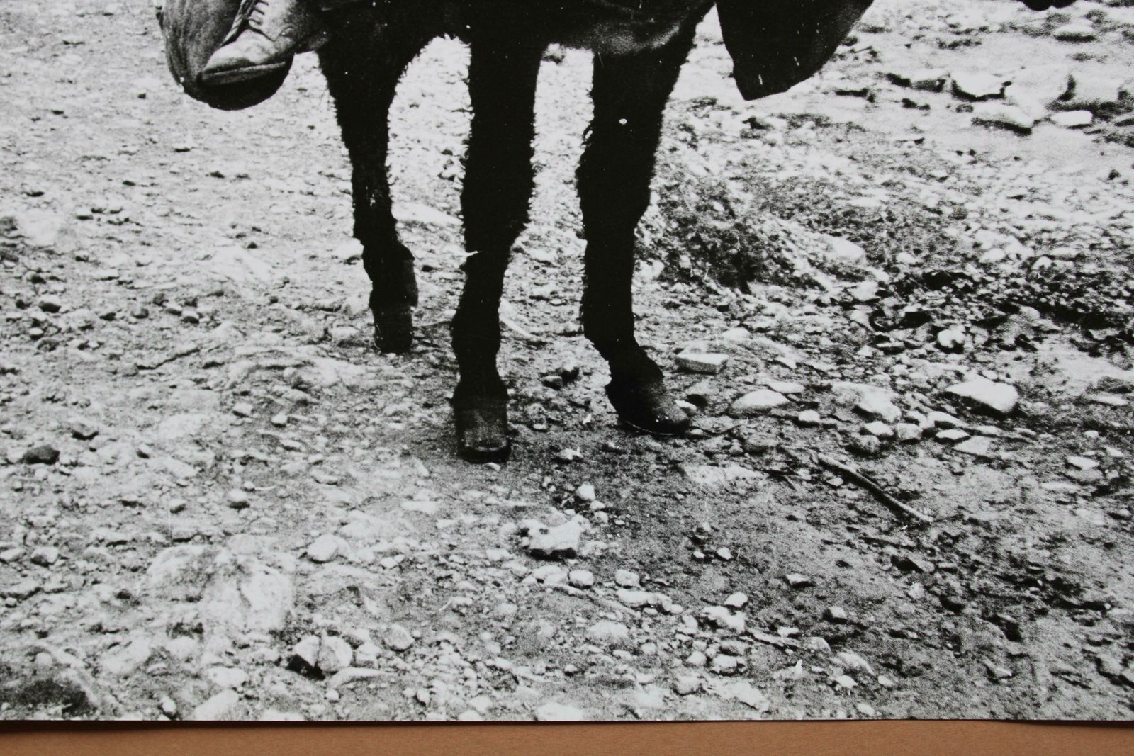 Dmitry Zyubritsky Photography   Boy On The Donkey At Mountains. 1979. photo vintage