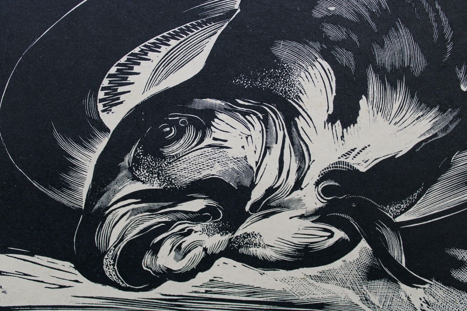 Olgerts Abelite Still Life 13/100. Paper, Linocut, 5/100,  1967 photo buy