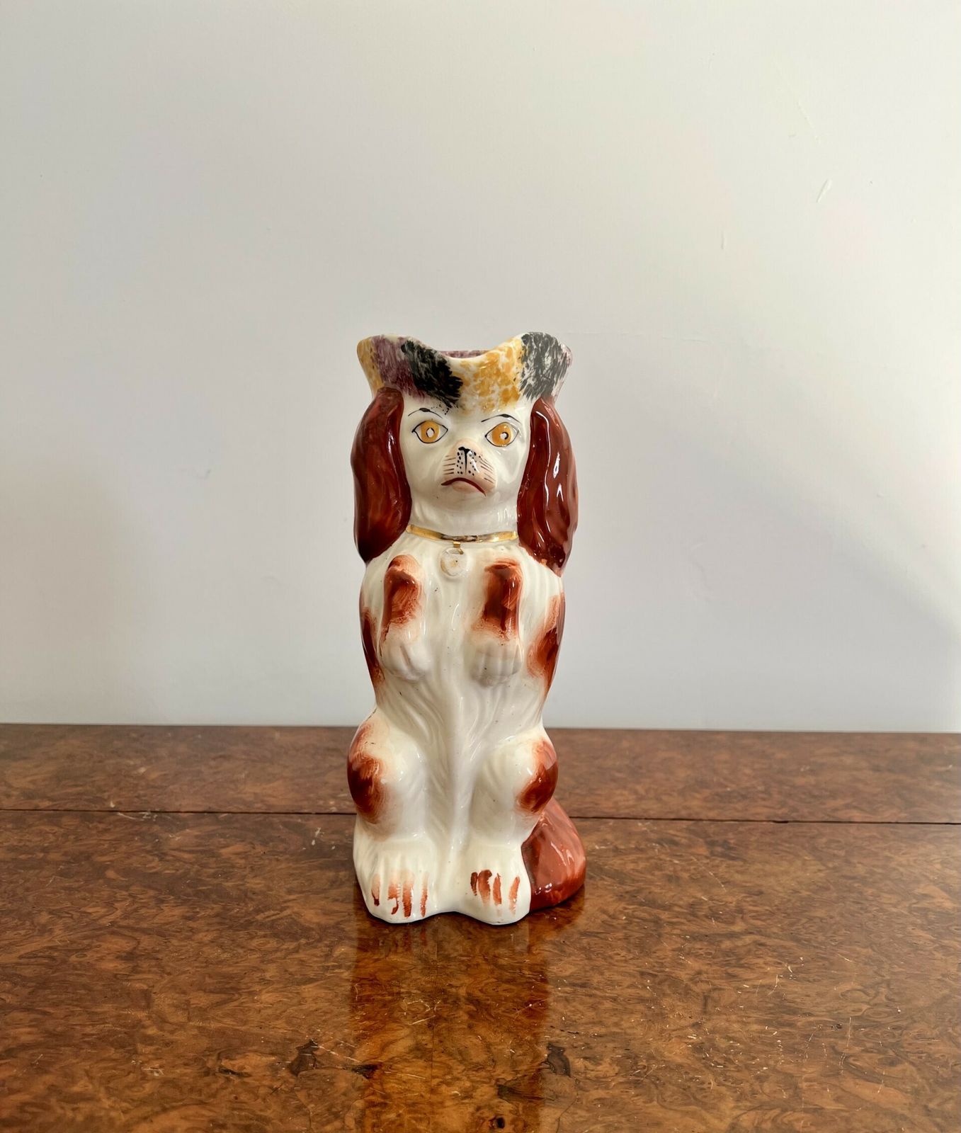 Victorian Staffordshire Toby Jug Of A Spaniel