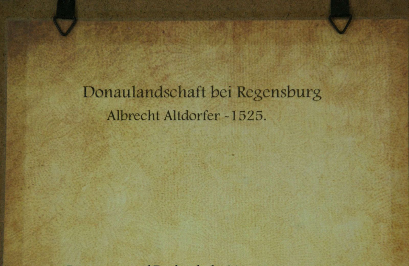 Danube Landscape Near Regensburg By Albrecht Altdorfer photo buy