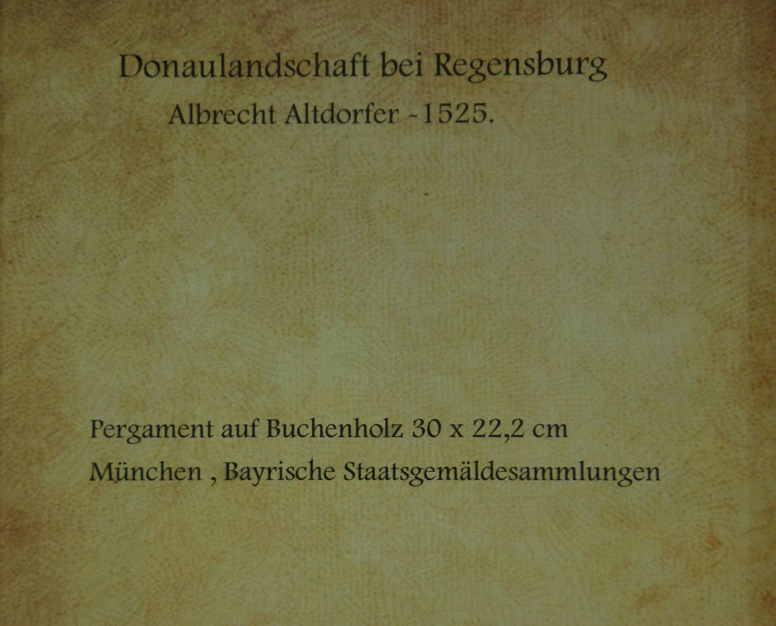 Danube Landscape Near Regensburg By Albrecht Altdorfer photo vintage