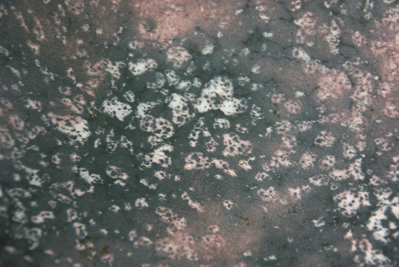 Vintage Lava Ceramic Plate, 1950s photo vinterior