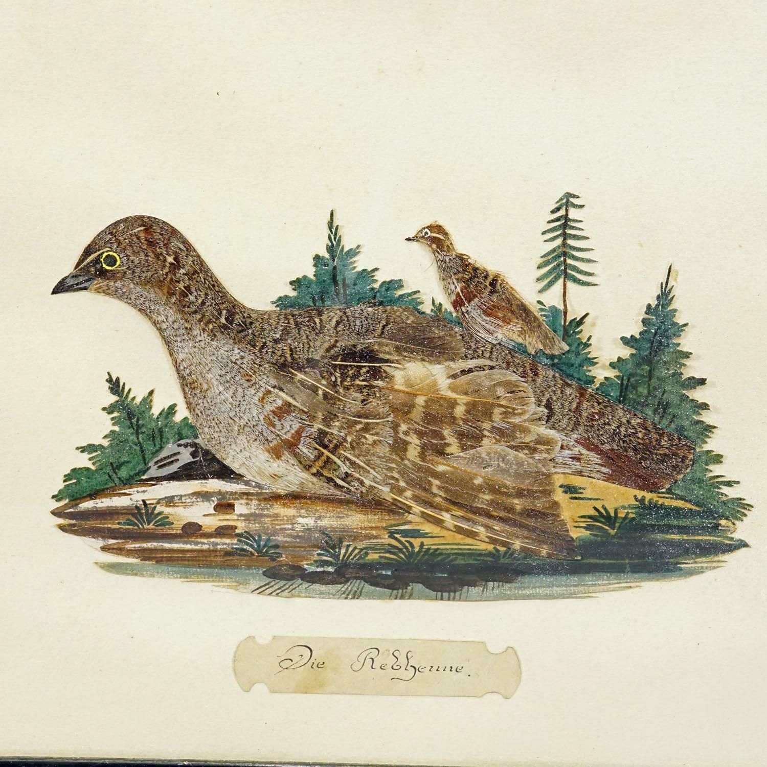 Victorian Taxidermy Diorama With Partridge, Germany Ca. 1900 photo furniture