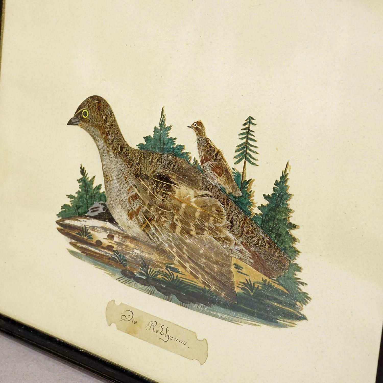 Victorian Taxidermy Diorama With Partridge, Germany Ca. 1900 photo Art